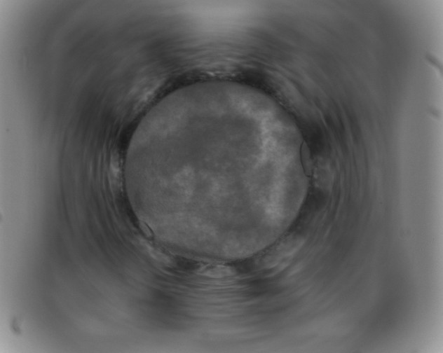 X0000097481298200803141926