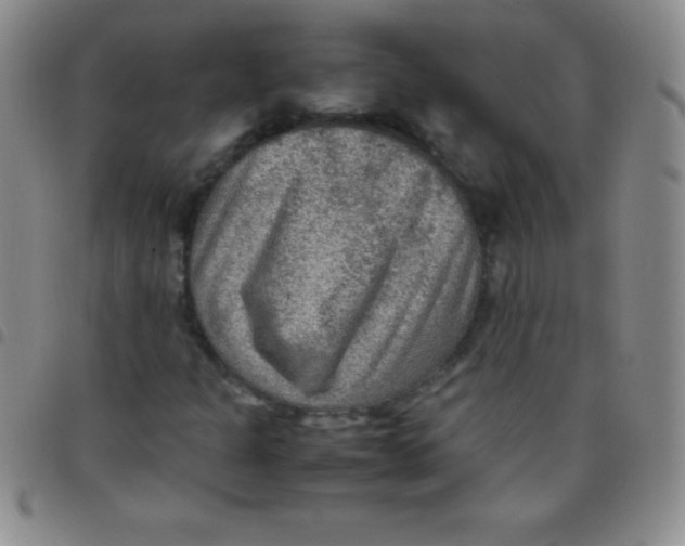 X0000097481301200803141926