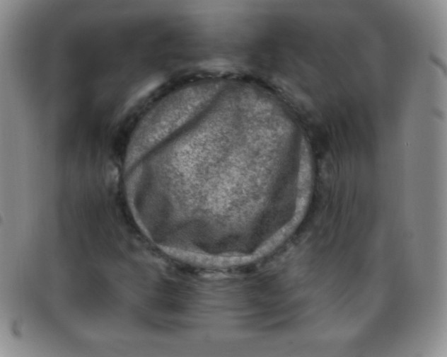 X0000097481302200803141926