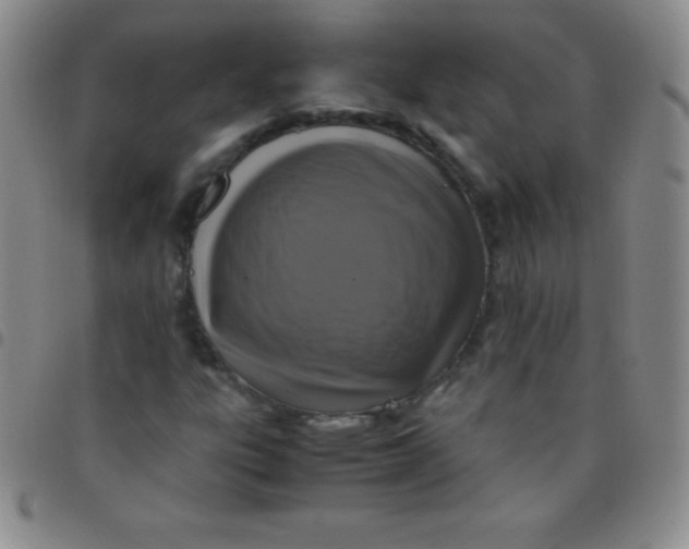 X0000097481303200803141926