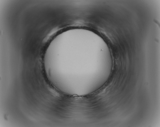 X0000097481304200803141926