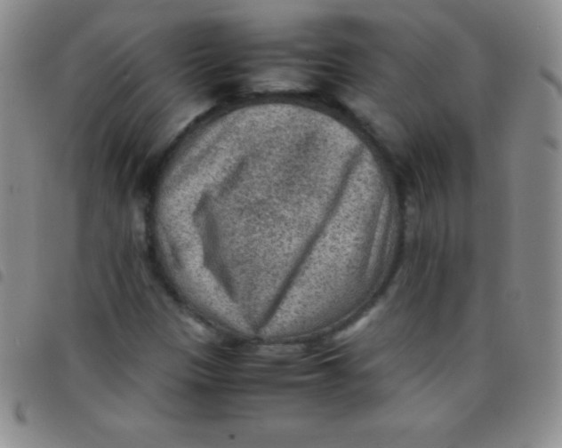 X0000097481305200803141926