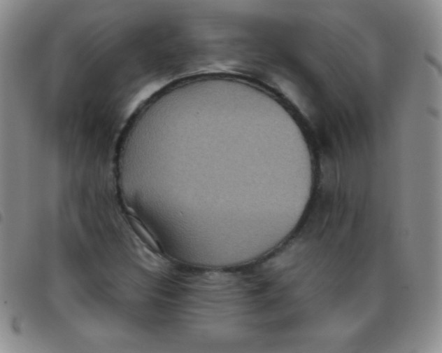 X0000097481308200803141926