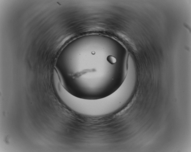 X0000097481313200803141926