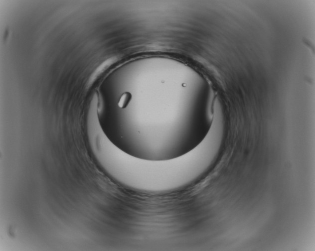 X0000097481314200803141926