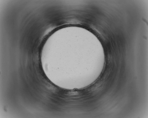 X0000097481315200803141926