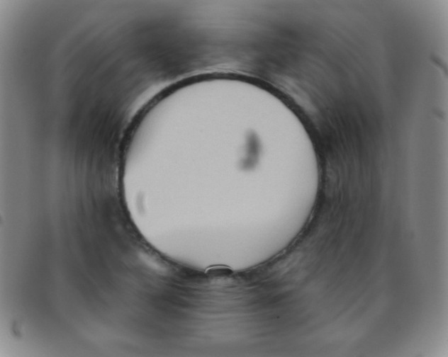 X0000097481316200803141926