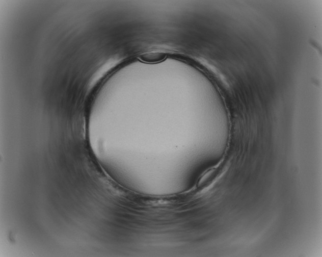 X0000097481317200803141926