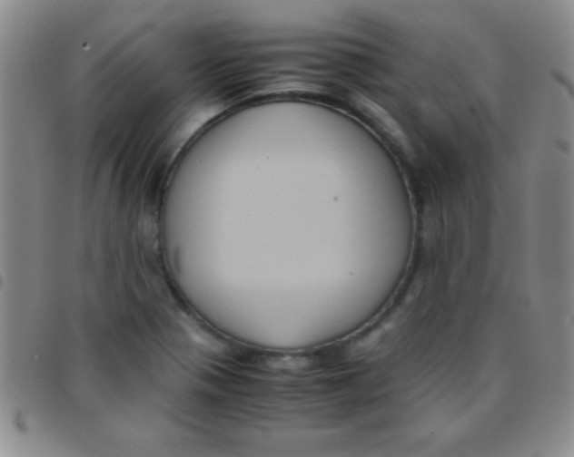 X0000097481321200803141926