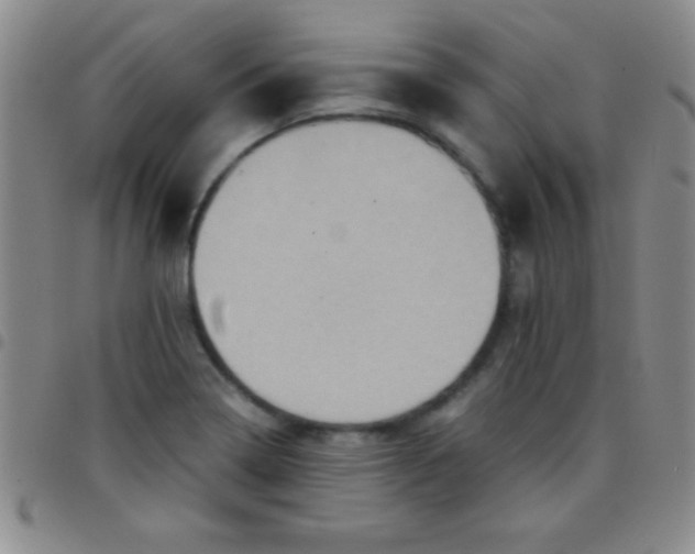 X0000097481322200803141926