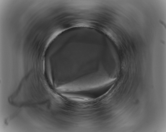 X0000097481323200803141926