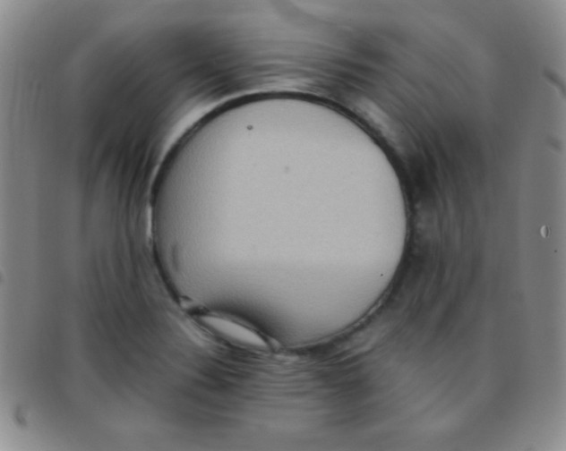 X0000097481324200803141926