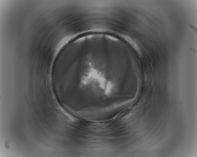 X0000097481327200803141926