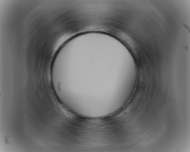 X0000097481328200803141926