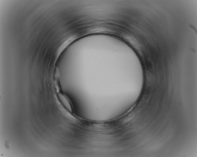 X0000097481330200803141926