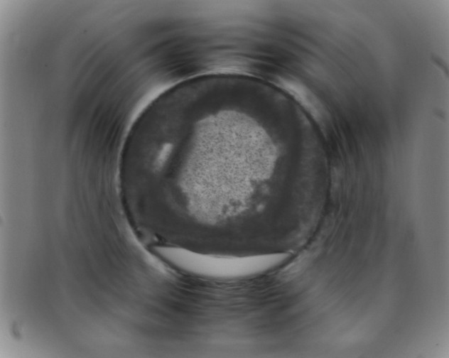 X0000097481331200803141926