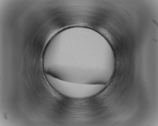 X0000097481332200803141926