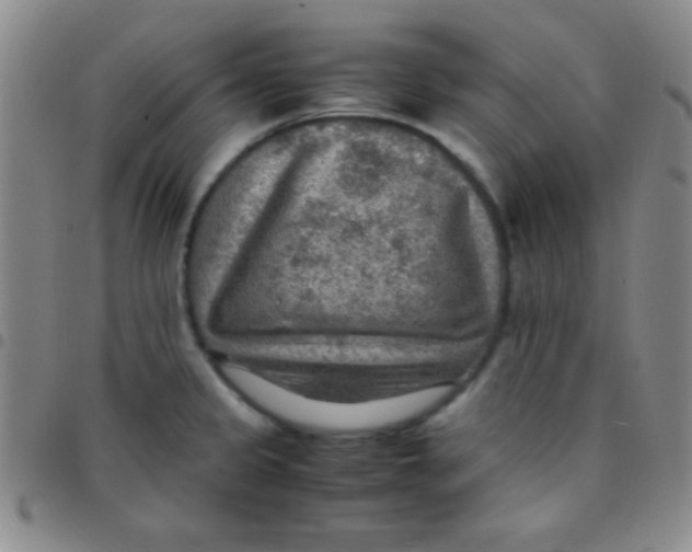 X0000097481333200803141926