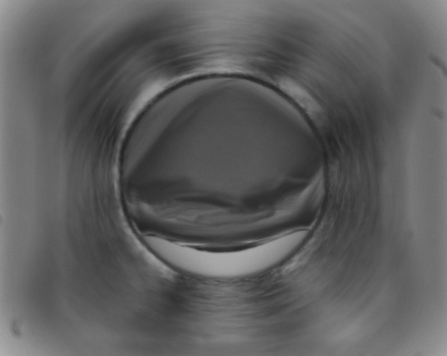 X0000097481334200803141926