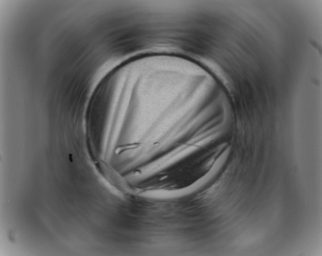 X0000097481335200803141926