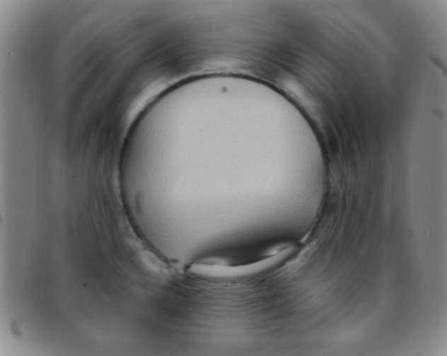 X0000097481336200803141926