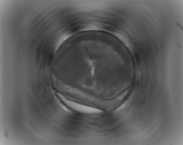 X0000097481337200803141926