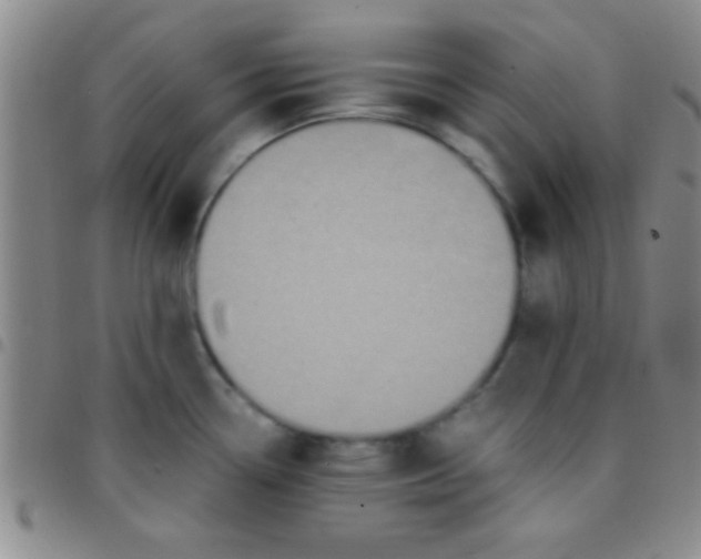 X0000097481338200803141926