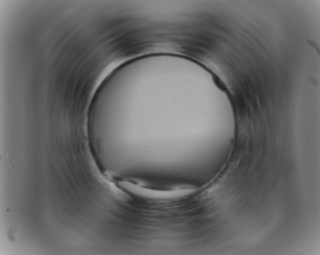 X0000097481339200803141926