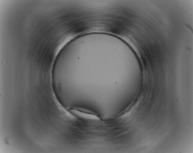 X0000097481341200803141926