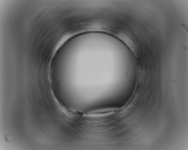 X0000097481342200803141926