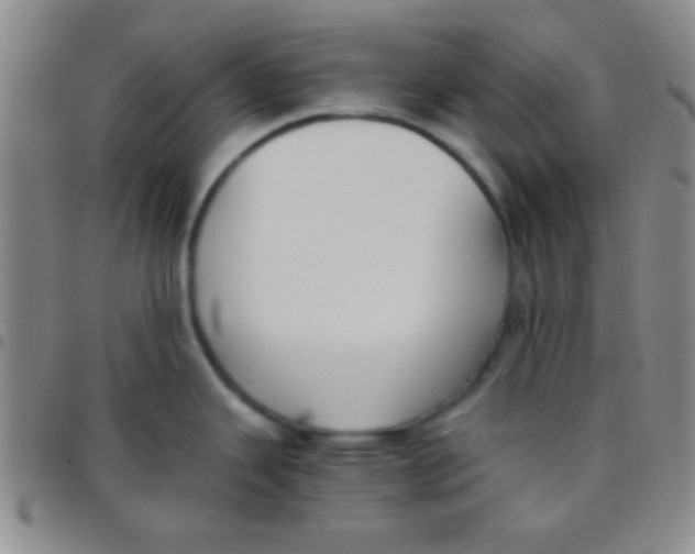 X0000097481343200803141926