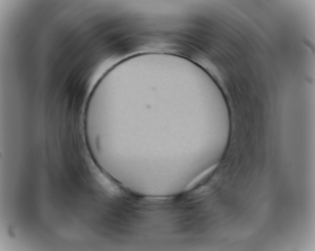 X0000097481344200803141926