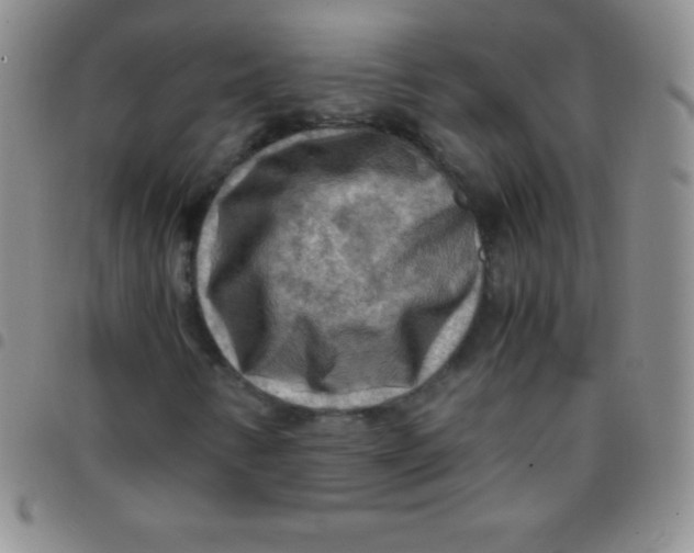 X0000097481346200803141926