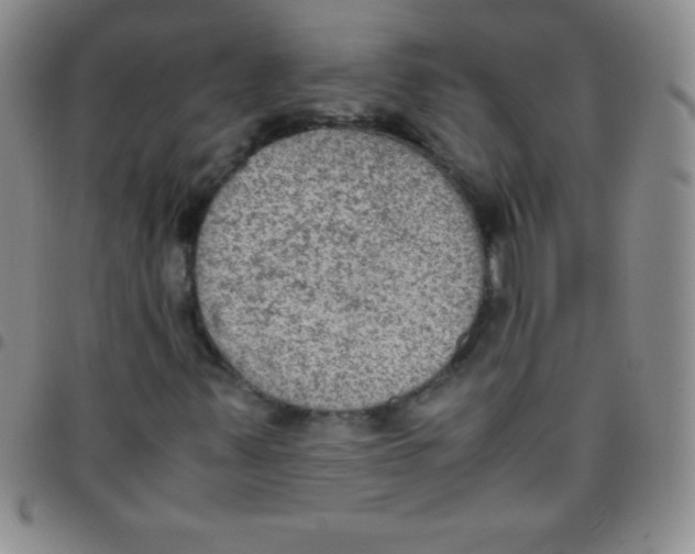 X0000097481347200803141926