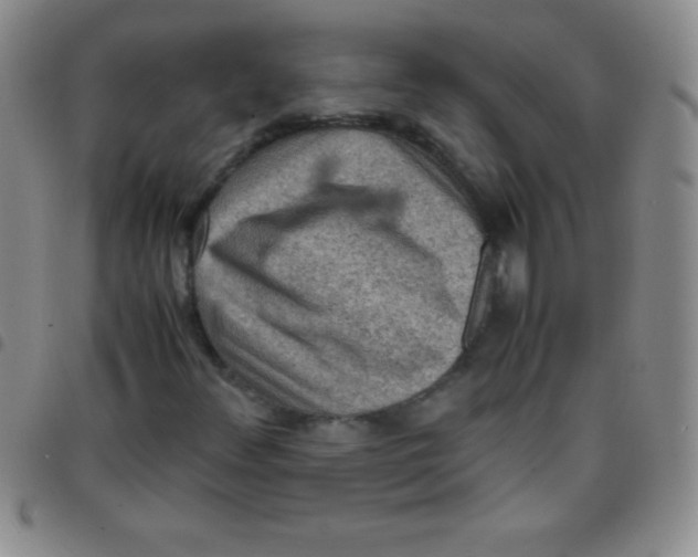 X0000097481348200803141926