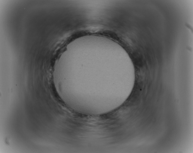 X0000097481349200803141926