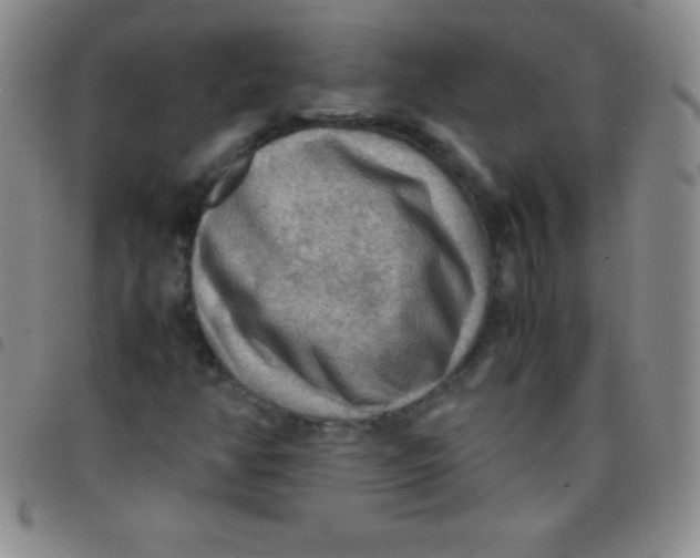 X0000097481350200803141926