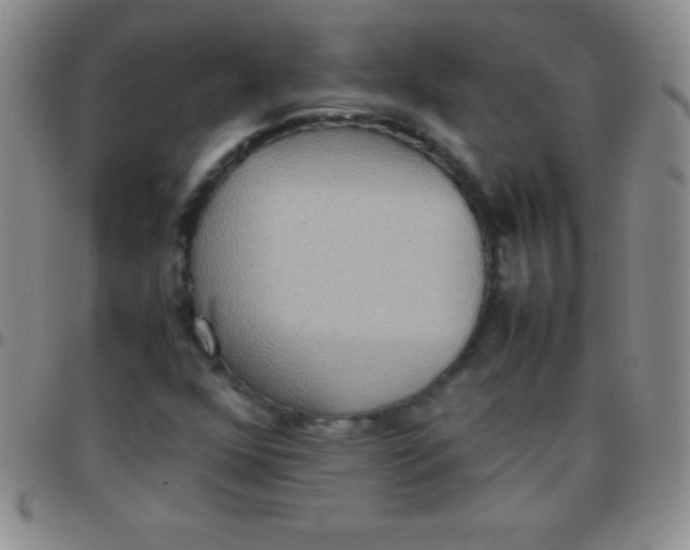 X0000097481352200803141926