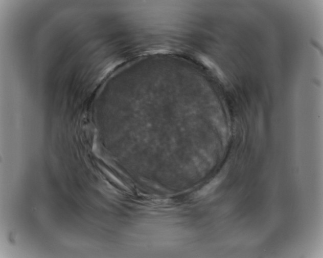 X0000097481353200803141926