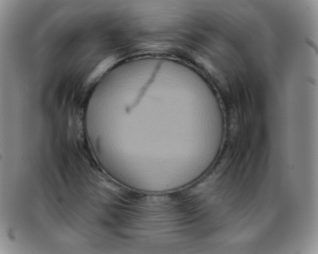 X0000097481354200803141926