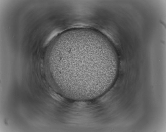 X0000097481355200803141926