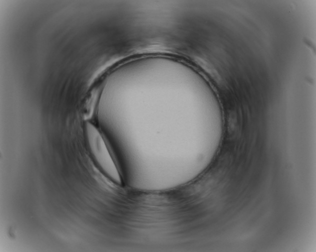 X0000097481356200803141926