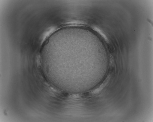 X0000097481357200803141926