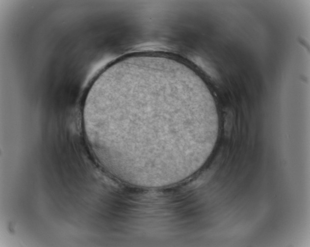 X0000097481358200803141926