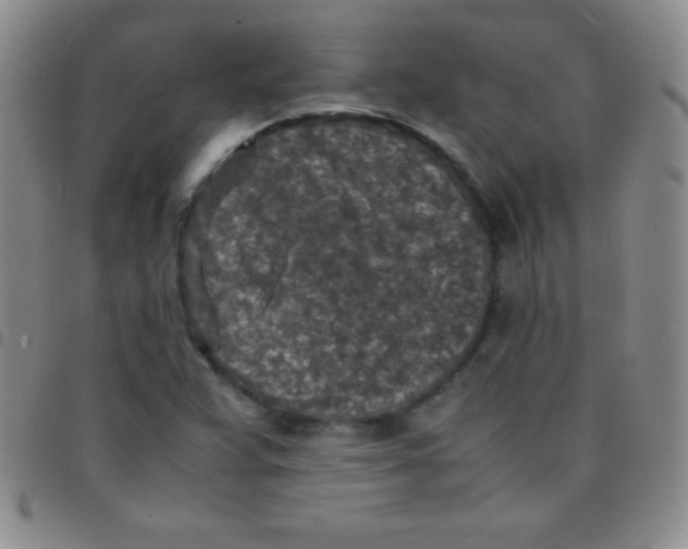 X0000097481359200803141926