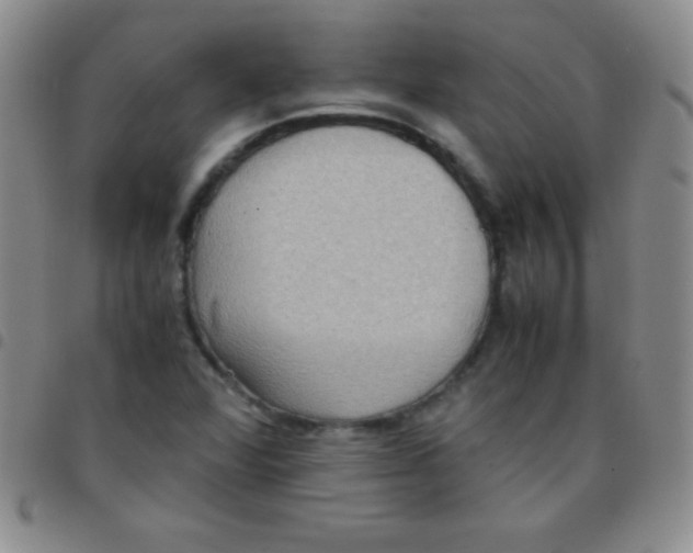 X0000097481360200803141926