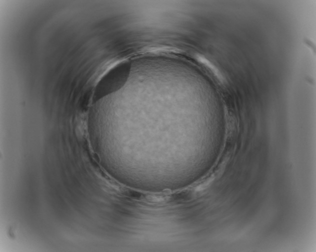 X0000097481361200803141926