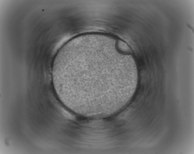 X0000097481363200803141925