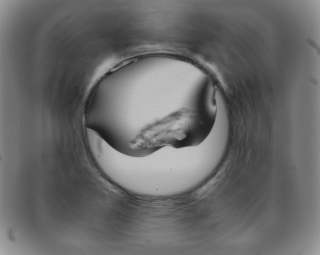 X0000097481365200803141925