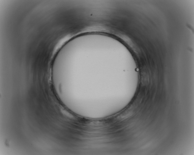 X0000097481366200803141925